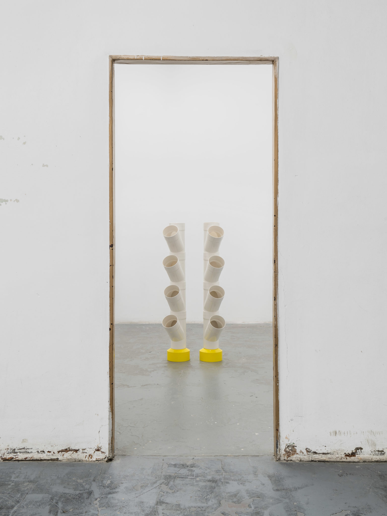 Alice Ronchi