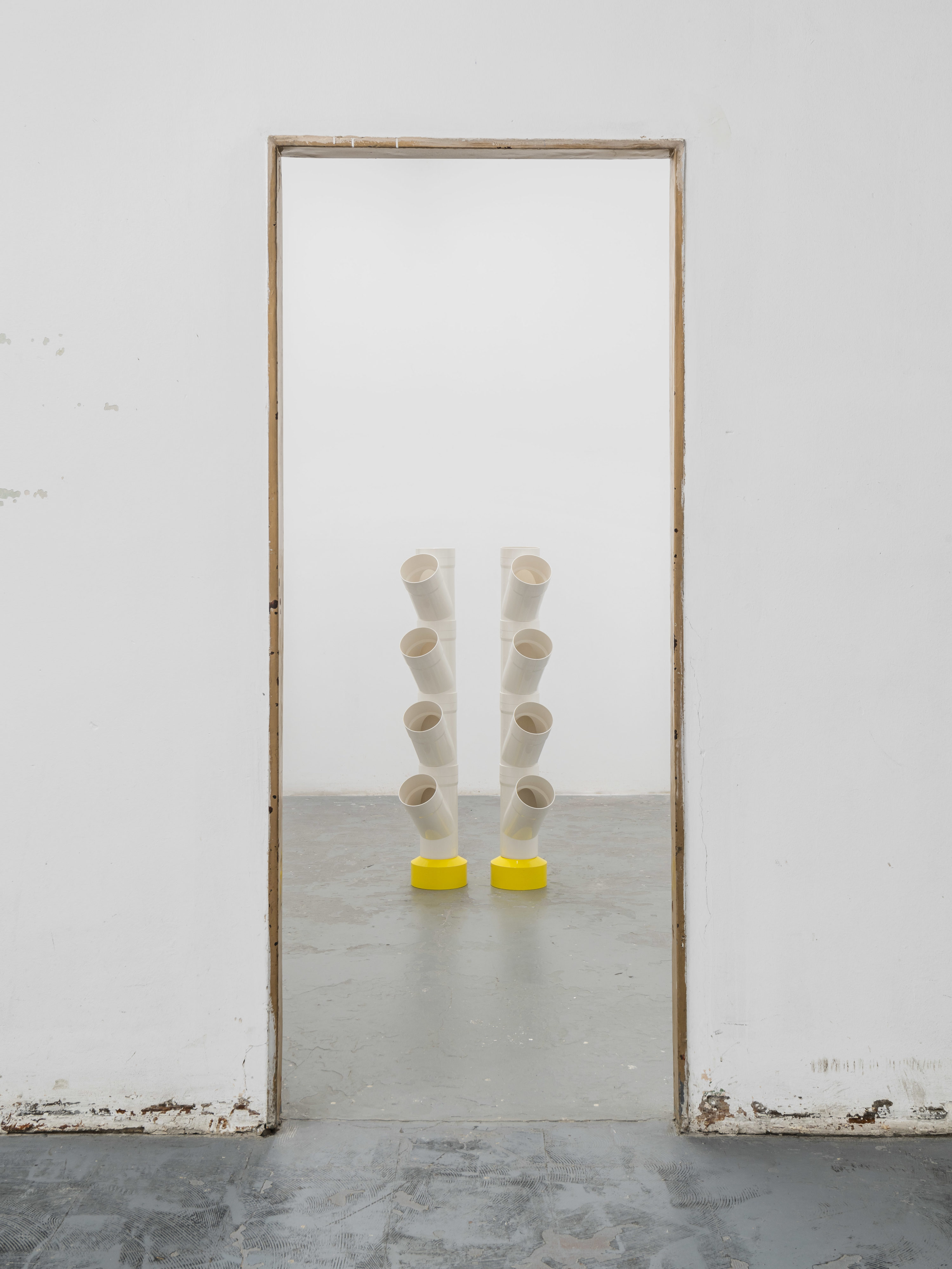 Alice Ronchi