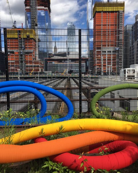 Sheila Hicks