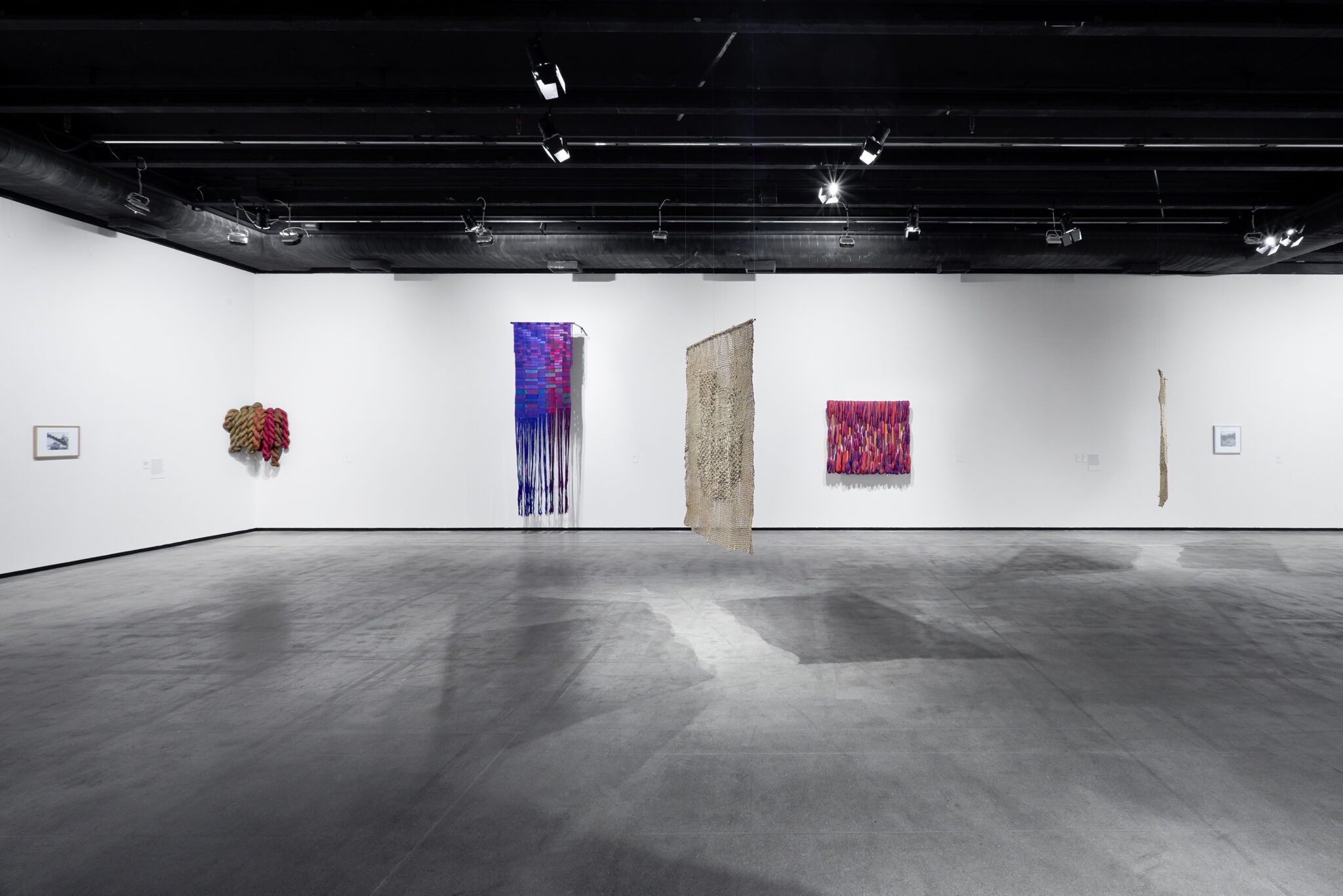 Sheila Hicks