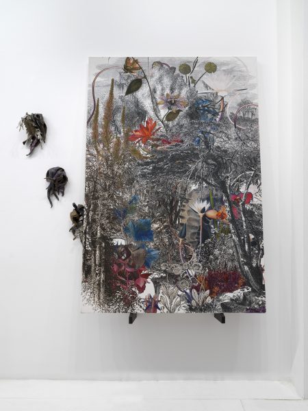 Francesco Simeti