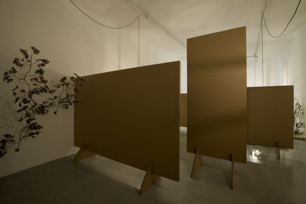 Francesco Simeti