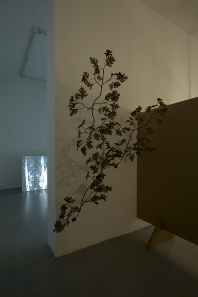 Francesco Simeti