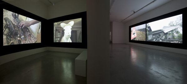 Ali Kazma