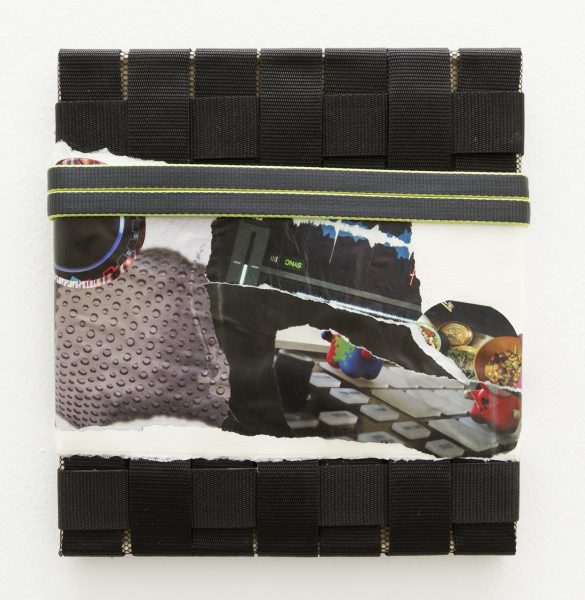 Accessories in Algorithmic Gardens