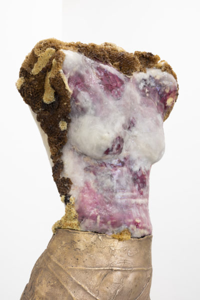 Ambra Castagnetti