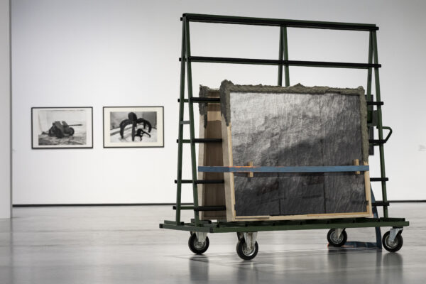 EXPANDED – I Paesaggi dell’arte