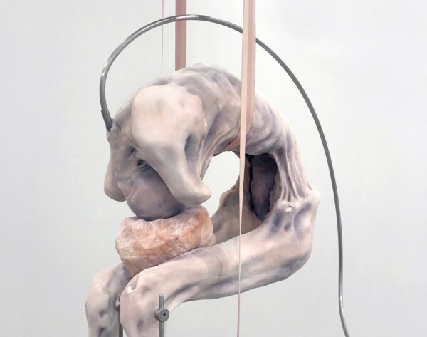 Bloodchild. Scenes from a Symbiosis