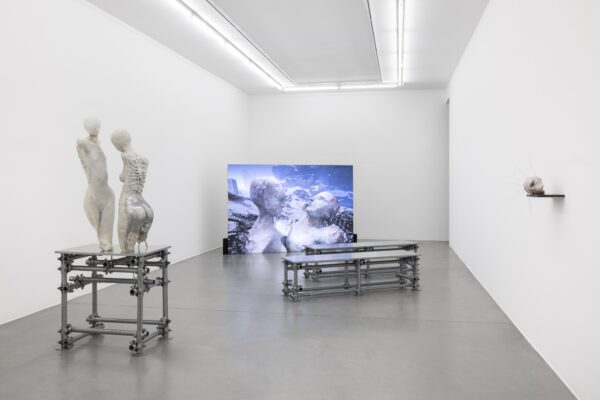Exhibitions