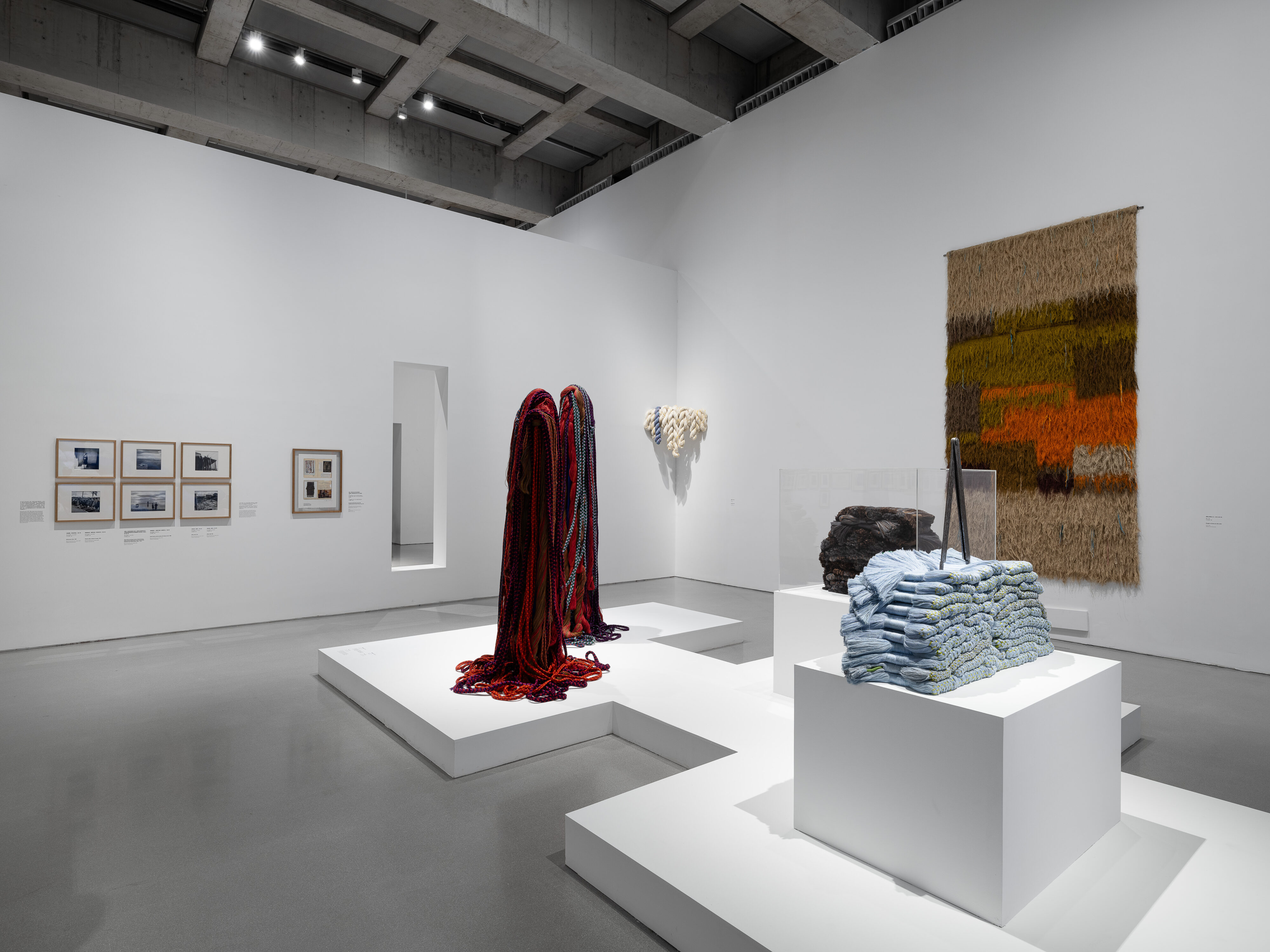 Sheila Hicks